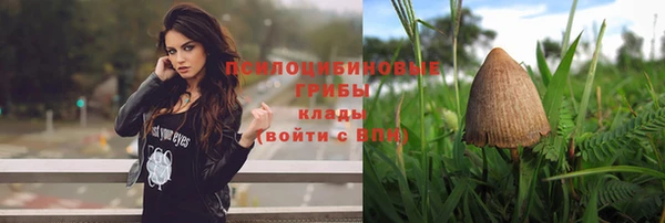 бошки Бабаево