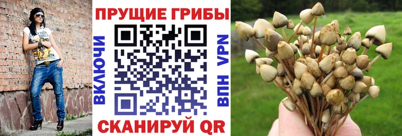 Псилоцибиновые грибы MAGIC MUSHROOMS  Почеп 
